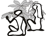 chapter 4 the curse chapter 4 the curse